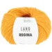 Giallo 14