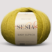 Senape 3482